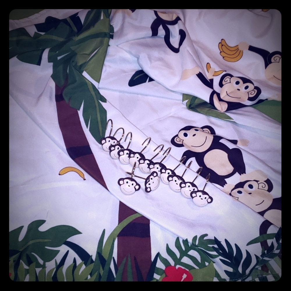 Shower curtain & hooks